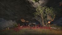 ON-interior-Taleon's Crag.jpg
