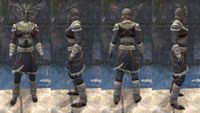 ON-item-armor-Icereach Coven Heavy 02.jpg