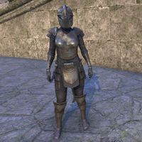 ON-costume-Lion Guard Knight (Female).jpg