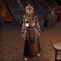 ON-item-armor-Elder Argonian Light Robes.jpg