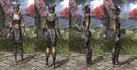 ON-item-armor-Wood Elf Heavy 1 Female.jpg