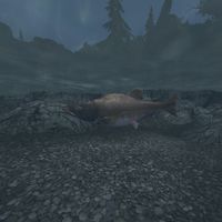 TD3-creature-Salmon.jpg