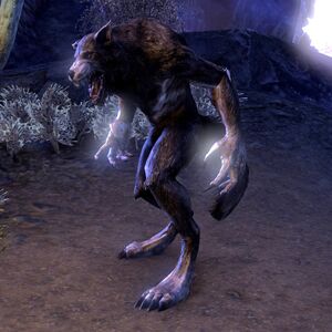 Online:Afflicted Werewolf Howler - The Unofficial Elder Scrolls Pages ...