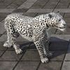 ON-furnishing-Spotted Snow Senche-Leopard.jpg