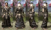 ON-item-armor-Wood Elf Light Robe 3 Male.jpg