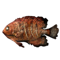 SR-icon-food-Cooked Angelfish.png
