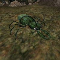 TD3-creature-Green Beetle.jpg