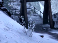 Thumbnail for version as of 04:57, 22 May 2025
