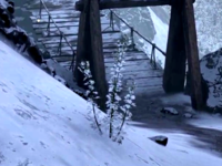OBR-flora-Wormwood Leaves.png