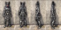 ON-item-armor-Reach Winter Light Jerkin Female.jpg