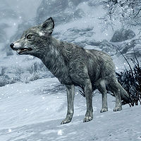 Skyrim:Fox - The Unofficial Elder Scrolls Pages (UESP)