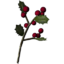 SR-icon-ingredient-Snowberries.png