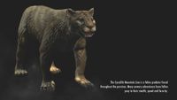 BS5C-load-The Cyrodilic Mountain Lion is a feline predator.jpg