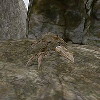 Morrowind Mudcrab Merchant Location