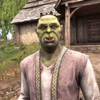 OBR-npc-Hanz gro-Hubrag 02.jpg