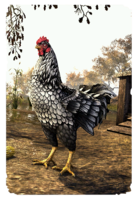 ON-card-Cropsford Hen.png