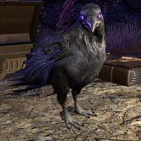 ON-creature-Knave of Rooks 02.jpg