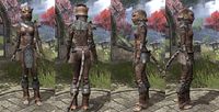 ON-item-armor-Steel-Khajiit-Female.jpg