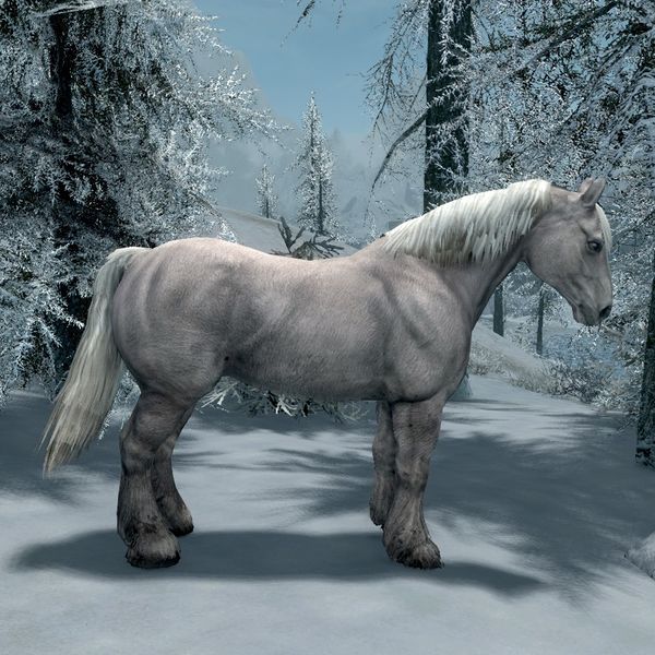 Skyrim приручить лошадь карта
