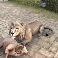 ON-creature-Lion 02.jpg