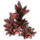 ON-icon-furnishing-Plant Cluster, Red Sister Ti.png