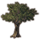 ON-icon-furnishing-Tree, Whorled Fig.png