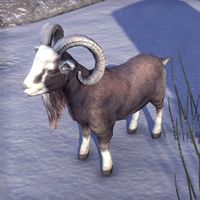 ON-creature-Gerval's Goat.jpg