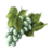 ON-icon-food-White Grapes.png