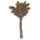 ON-icon-furnishing-Sapling, Young Aspen.png