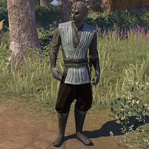 Online:Ashur - The Unofficial Elder Scrolls Pages (UESP)