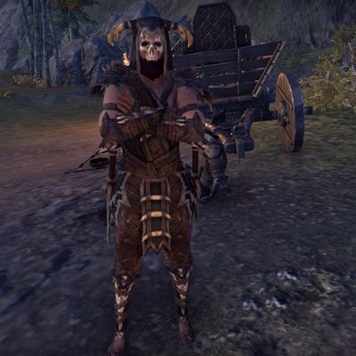 Online:Reach Berserker - The Unofficial Elder Scrolls Pages (UESP)