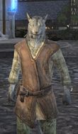 Male Khajiit