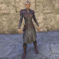 Austere Warden Outfit (female)