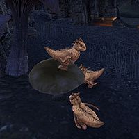 ON-creature-Bantam Guar.jpg