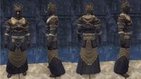 ON-item-armor-Icereach Coven Light (Robes).jpg