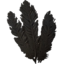 SR-icon-ingredient-Hagraven Feathers.png