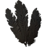 Skyrim Hagraven Feathers The Unofficial Elder Scrolls Pages UESP   96px SR Icon Ingredient Hagraven Feathers 