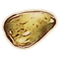 OBR-icon-misc-Amber.png