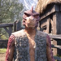 OBR-npc-Deetum-Ja 02.jpg