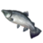 ON-icon-fish-Salmon.png