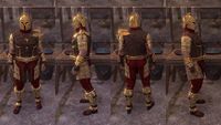 ON-item-armor-Dragonguard Berserker (male).jpg