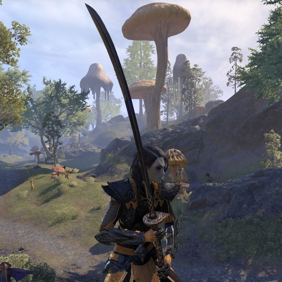 File:ON-item-weapon-Ebony Blade.jpg.