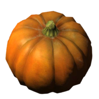 BS5-icon-food-Pumpkin.png