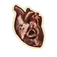 OBR-icon-misc-SI Syl's Heart.png