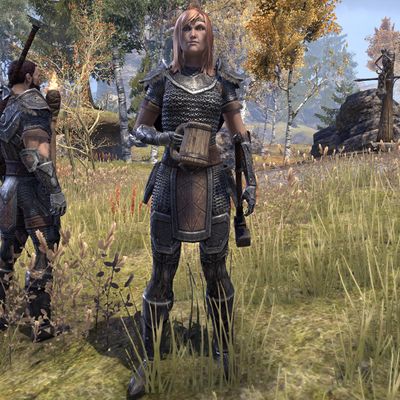 Online:Brawler (NPC) - The Unofficial Elder Scrolls Pages (UESP)