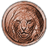 ON-icon-quest-Footpad's Coin.png