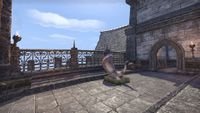 ON-place-Great Hall Battlements.jpg