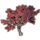 ON-icon-furnishing-Alinor Maple, Red.png