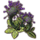 ON-icon-furnishing-Plant Cluster, Wilted Hist Bulb.png