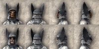 ON-item-armor-Reach Winter Light Beast Races.jpg